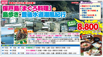 保戸島「まぐろ料理」と島歩き・豊後水道潮風紀行