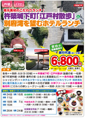 杵築城下町「江戸村散策」と別府湾を望むホテルランチ