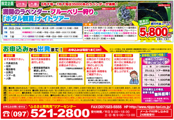 満開のラベンダー・ブルーベリー狩りと「ホタル観賞」ナイトツアー